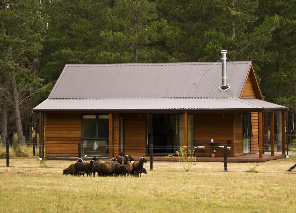 Woodbank Park Cottages Hanmer Springs Cameră foto